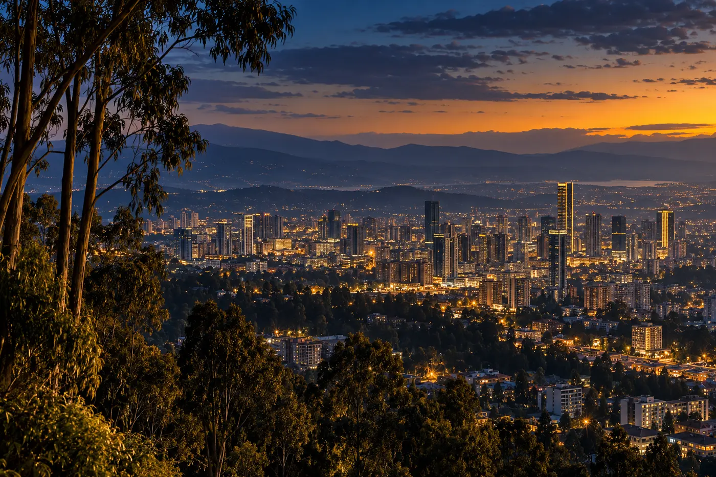 Addis Ababa at dusk seen from the eucalyptus-covered Entoto hills